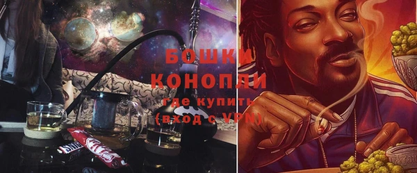 ПСИЛОЦИБИНОВЫЕ ГРИБЫ Алзамай